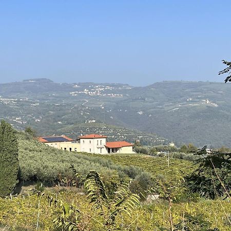 Suite La Torretta - Ca' Del Volo Grezzana Exterior photo
