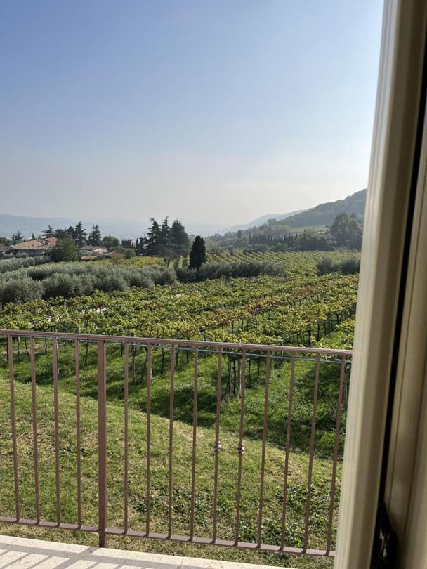 Suite La Torretta - Ca' Del Volo Grezzana Exterior photo